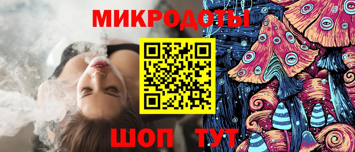Галлюциногенные грибы Psilocybe Скопин