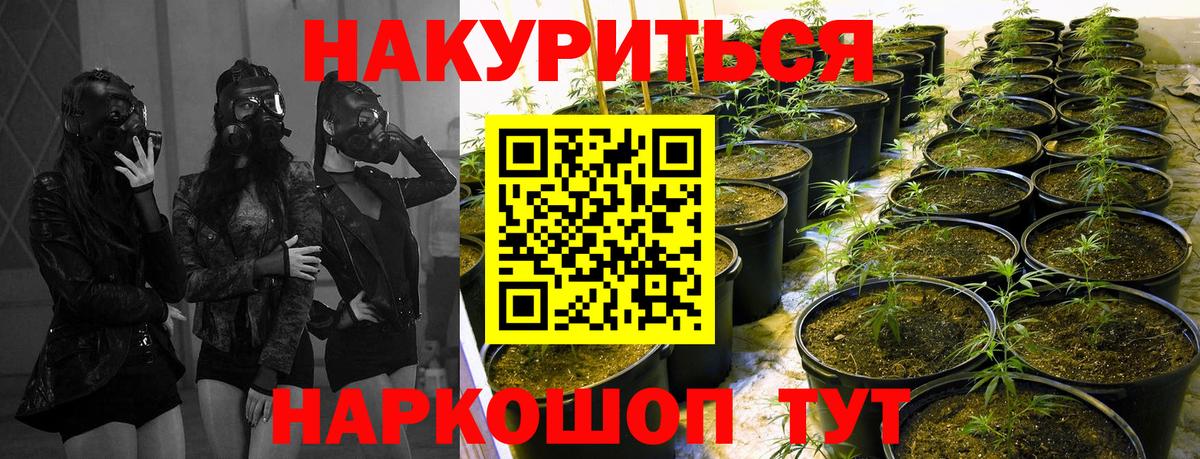 Каннабис марихуана  Бошки марихуана Bruce Banner  Вход с VPN  Скопин  Бошки марихуана Bruce Banner 